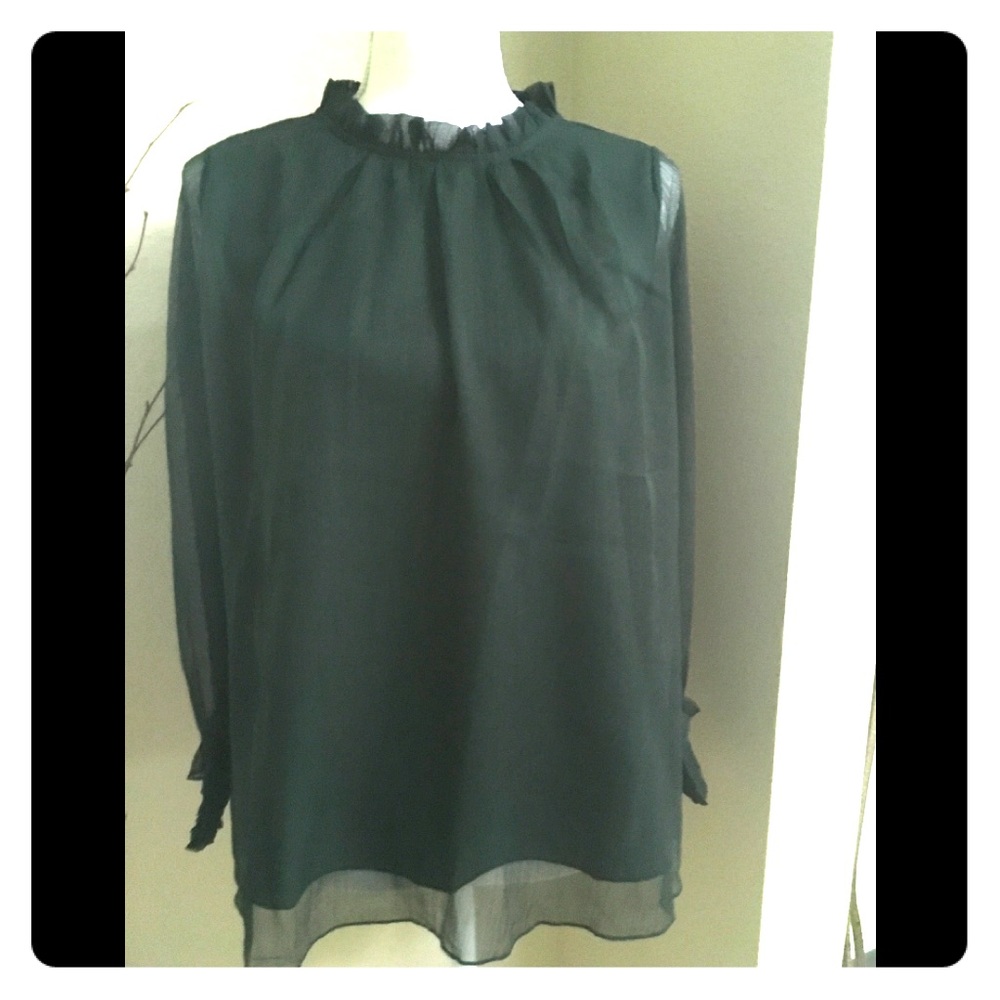NWT Forest Green Blouse with sheer sleeves
